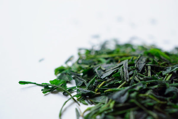 TENCHA for cold brew